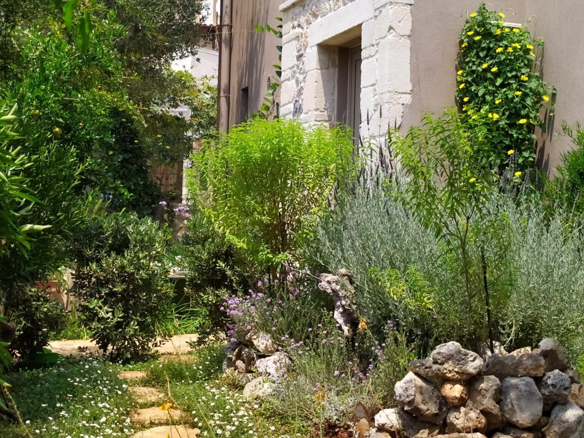 Olive Lemon Biophilic House & Lush Forest Garden Vámos Extérieur photo