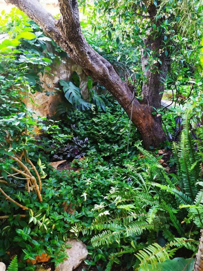 Olive Lemon Biophilic House & Lush Forest Garden Vámos Extérieur photo