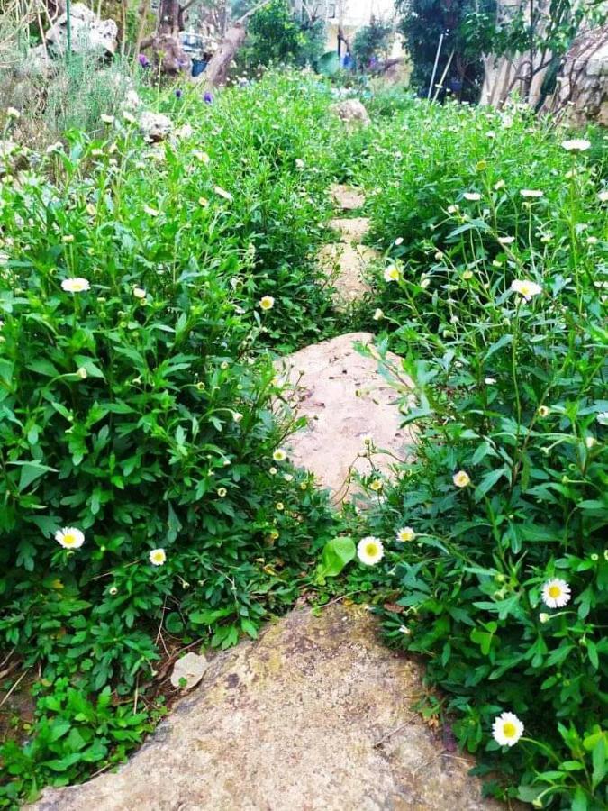 Olive Lemon Biophilic House & Lush Forest Garden Vámos Extérieur photo