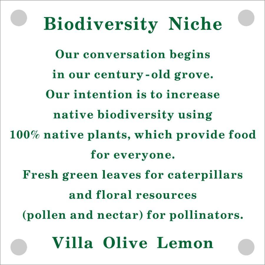 Olive Lemon Biophilic House & Lush Forest Garden Vámos Extérieur photo