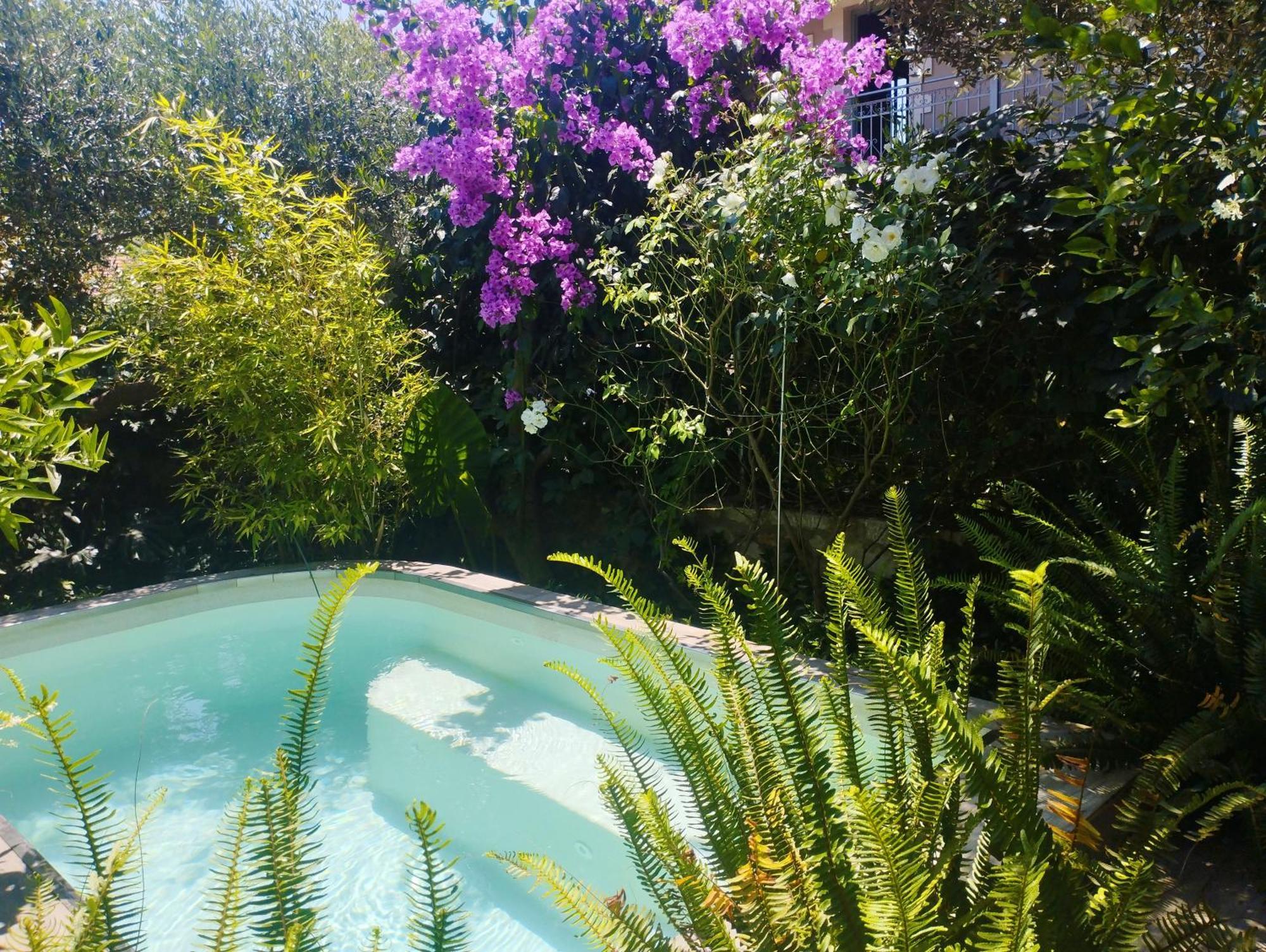 Olive Lemon Biophilic House & Lush Forest Garden Vámos Extérieur photo