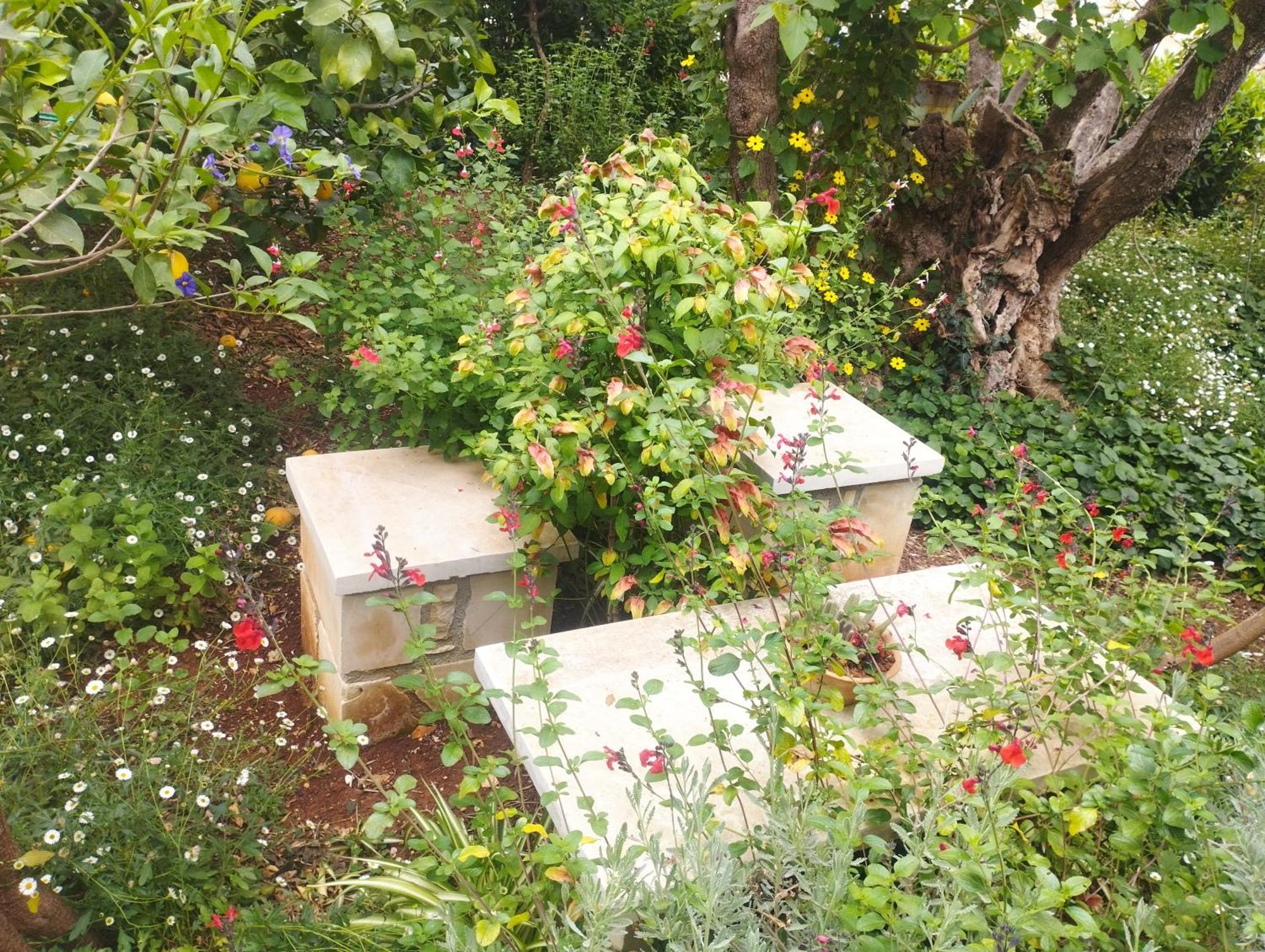 Olive Lemon Biophilic House & Lush Forest Garden Vámos Extérieur photo