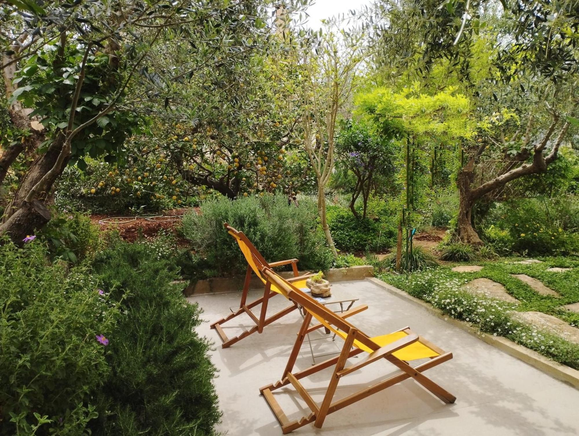 Olive Lemon Biophilic House & Lush Forest Garden Vámos Chambre photo