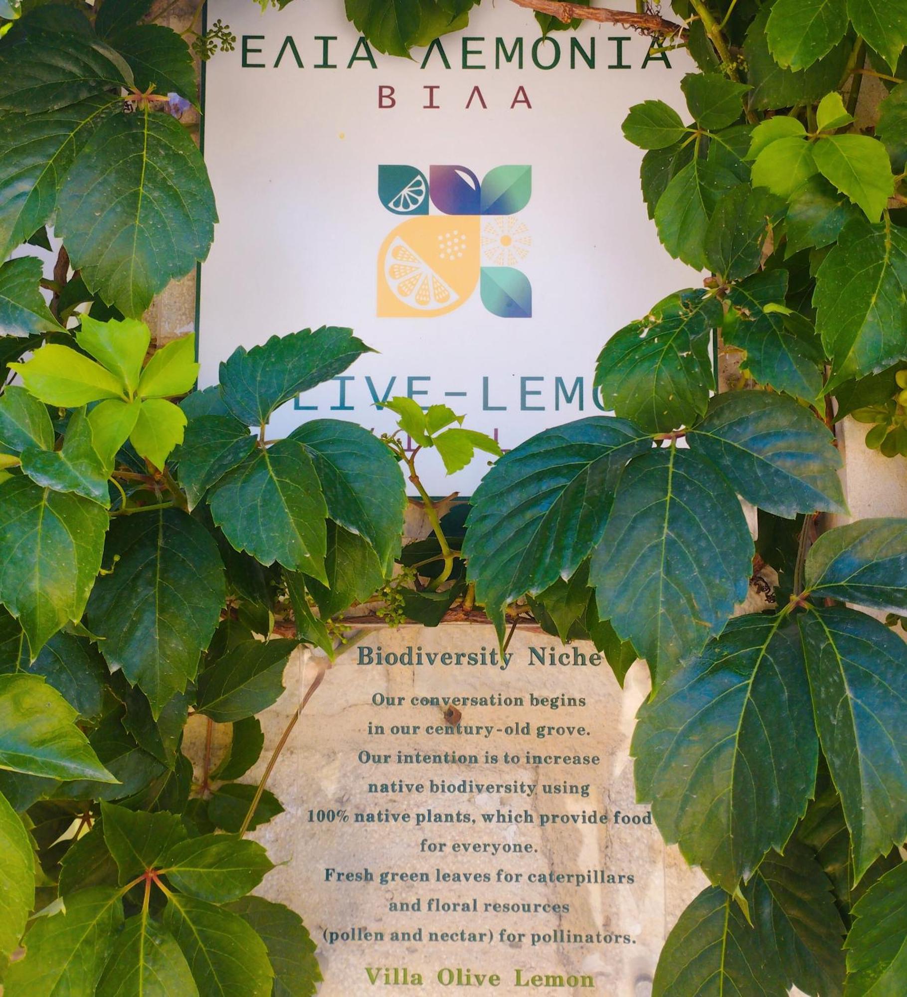 Olive Lemon Biophilic House & Lush Forest Garden Vámos Chambre photo